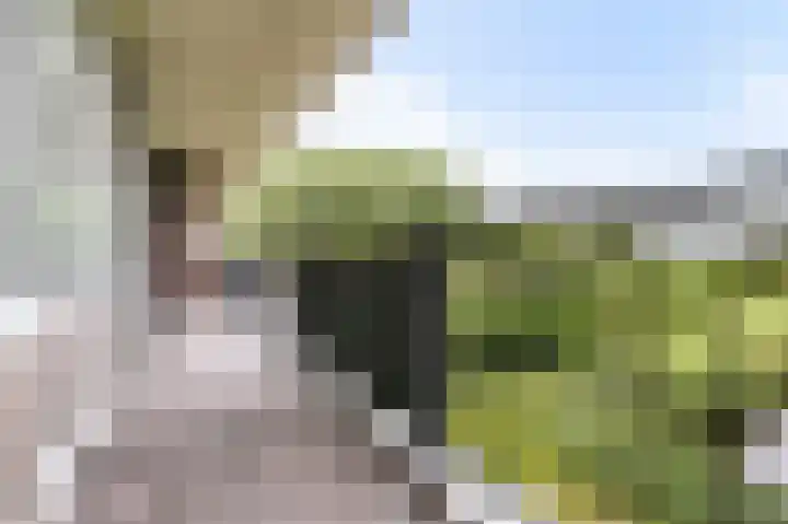 Populierendreef 45 Voorburg thumbnail 5