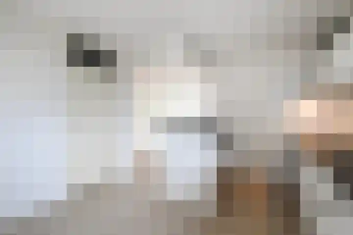 Populierendreef 47 Voorburg thumbnail 11