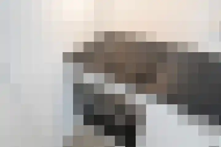 Populierendreef 47 Voorburg thumbnail 13