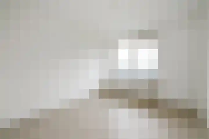 Populierendreef 47 Voorburg thumbnail 14