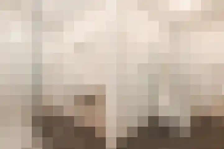 Populierendreef 47 Voorburg thumbnail 17