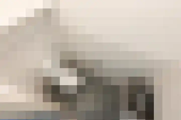 Populierendreef 47 Voorburg thumbnail 18