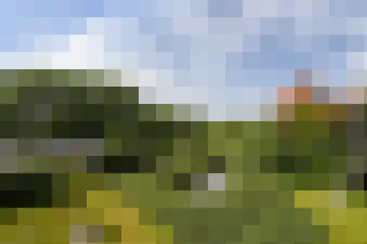 Populierendreef 47 Voorburg thumbnail 9