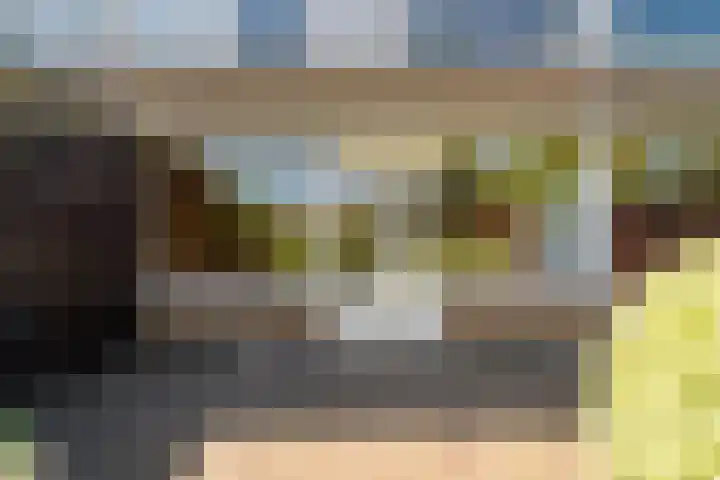 Populierendreef 540 Voorburg thumbnail 10