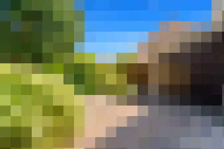 Populierendreef 540 Voorburg thumbnail 11