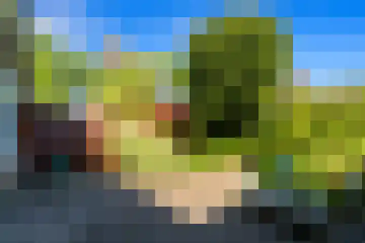 Populierendreef 540 Voorburg thumbnail 12