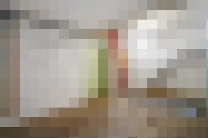 Populierendreef 540 Voorburg thumbnail 21