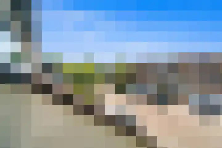 Populierendreef 540 Voorburg thumbnail 25