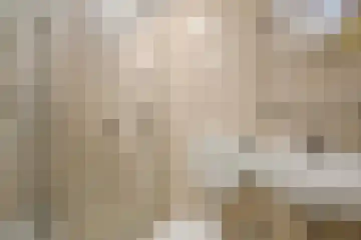 Populierendreef 540 Voorburg thumbnail 31