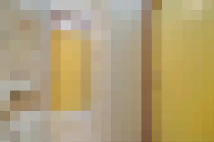 Populierendreef 540 Voorburg thumbnail 32
