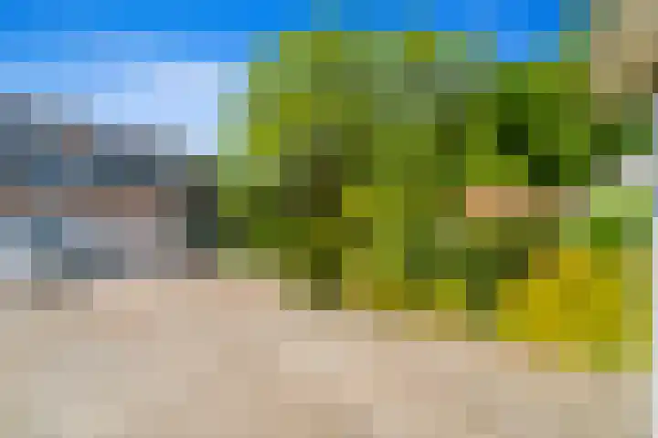 Populierendreef 540 Voorburg thumbnail 4