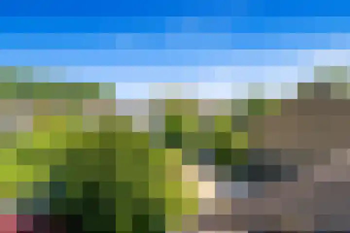 Populierendreef 540 Voorburg thumbnail 43