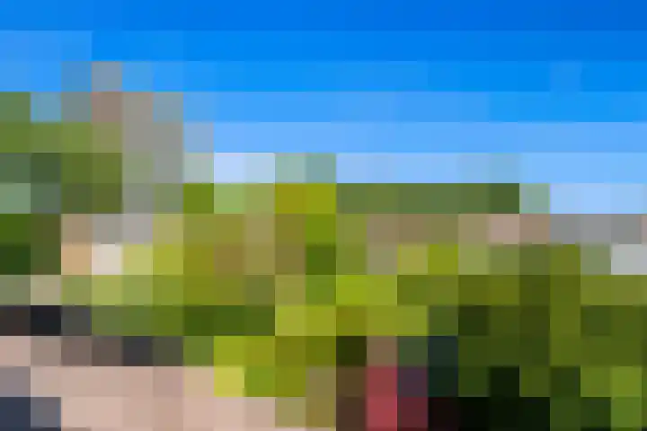 Populierendreef 540 Voorburg thumbnail 44