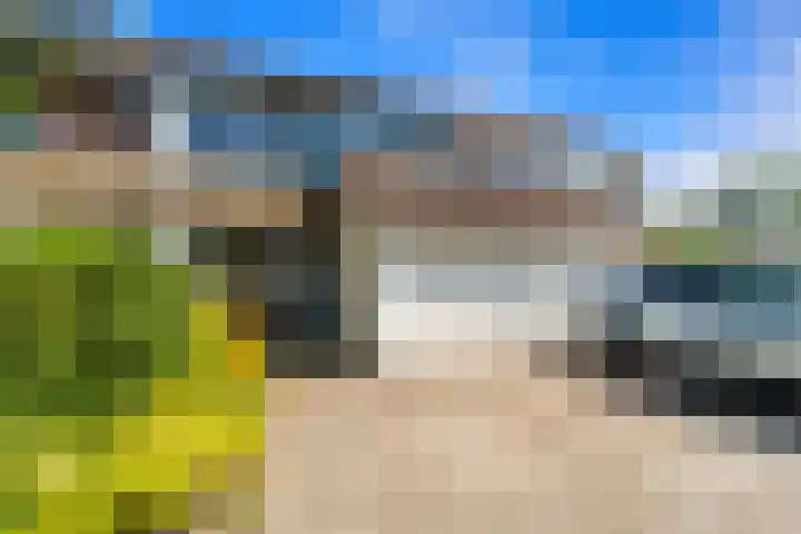 Populierendreef 540 Voorburg thumbnail 45