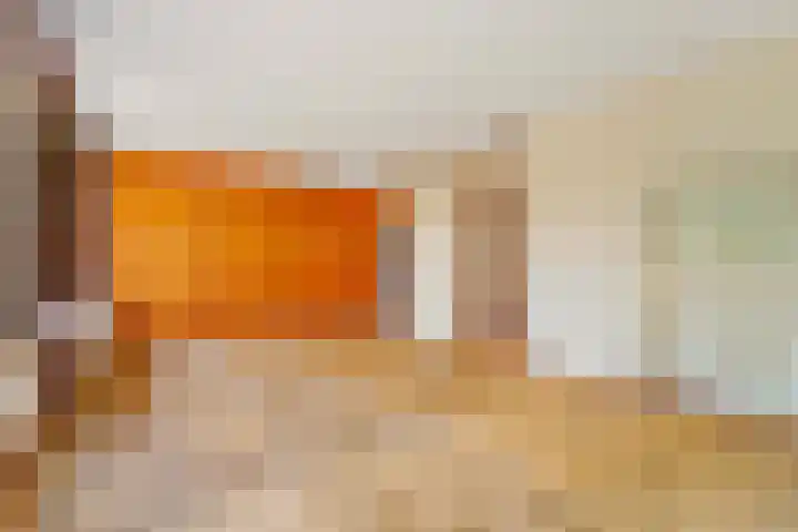 Populierendreef 540 Voorburg thumbnail 8