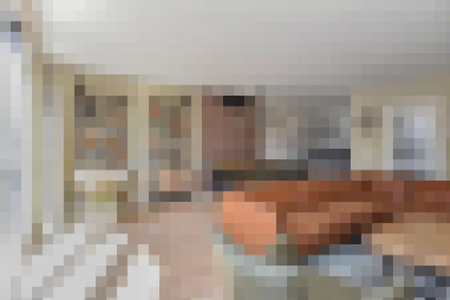 Populierendreef 556 Voorburg thumbnail 10