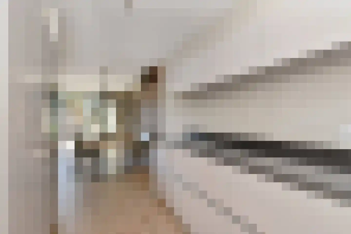 Populierendreef 556 Voorburg thumbnail 13