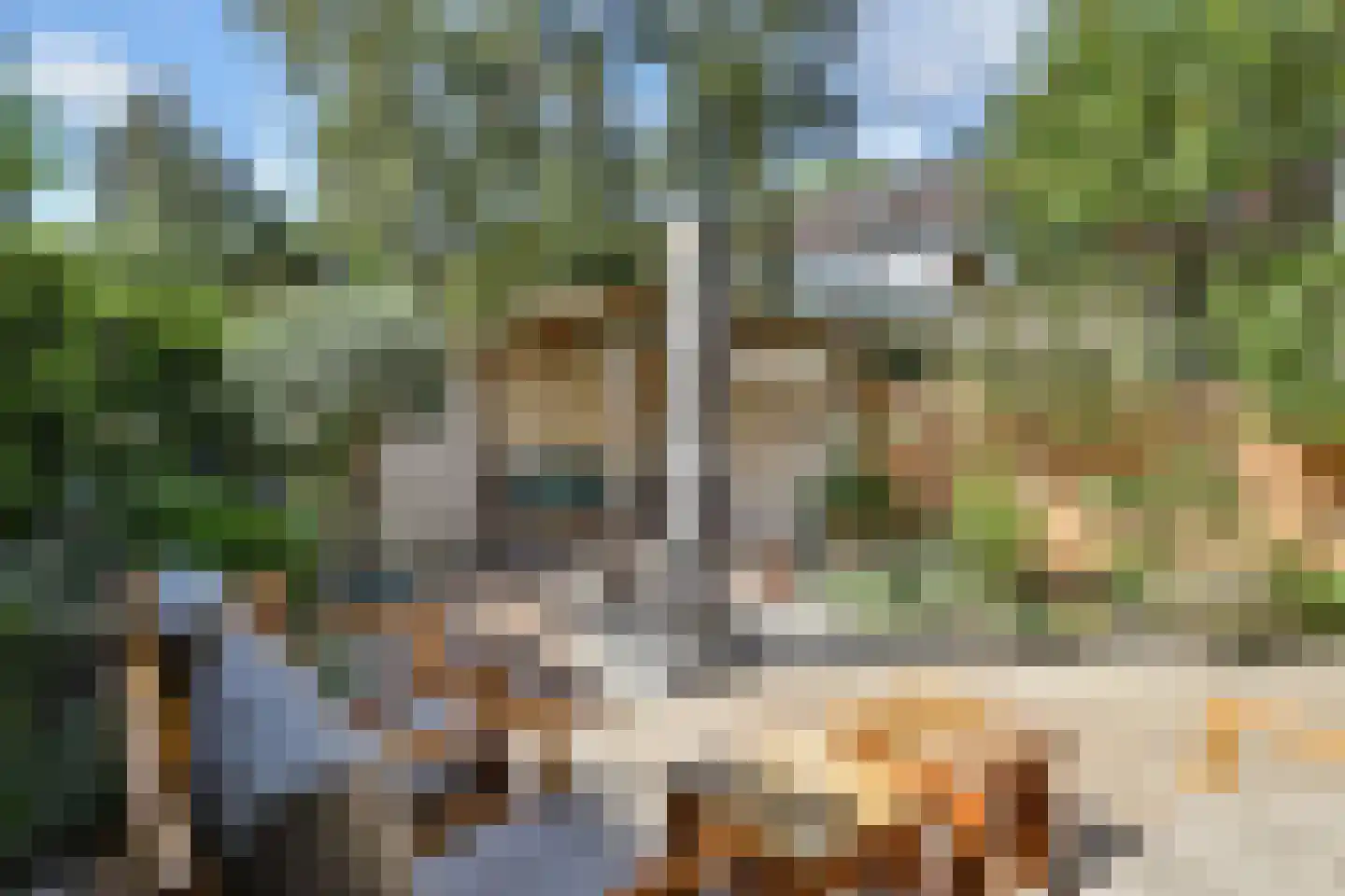 Populierendreef 556 Voorburg thumbnail 15