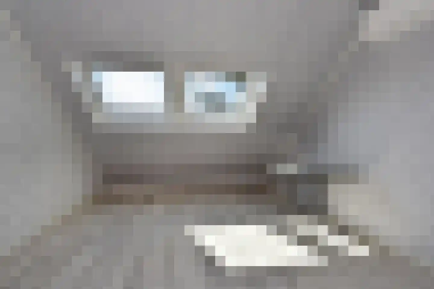 Populierendreef 556 Voorburg thumbnail 32