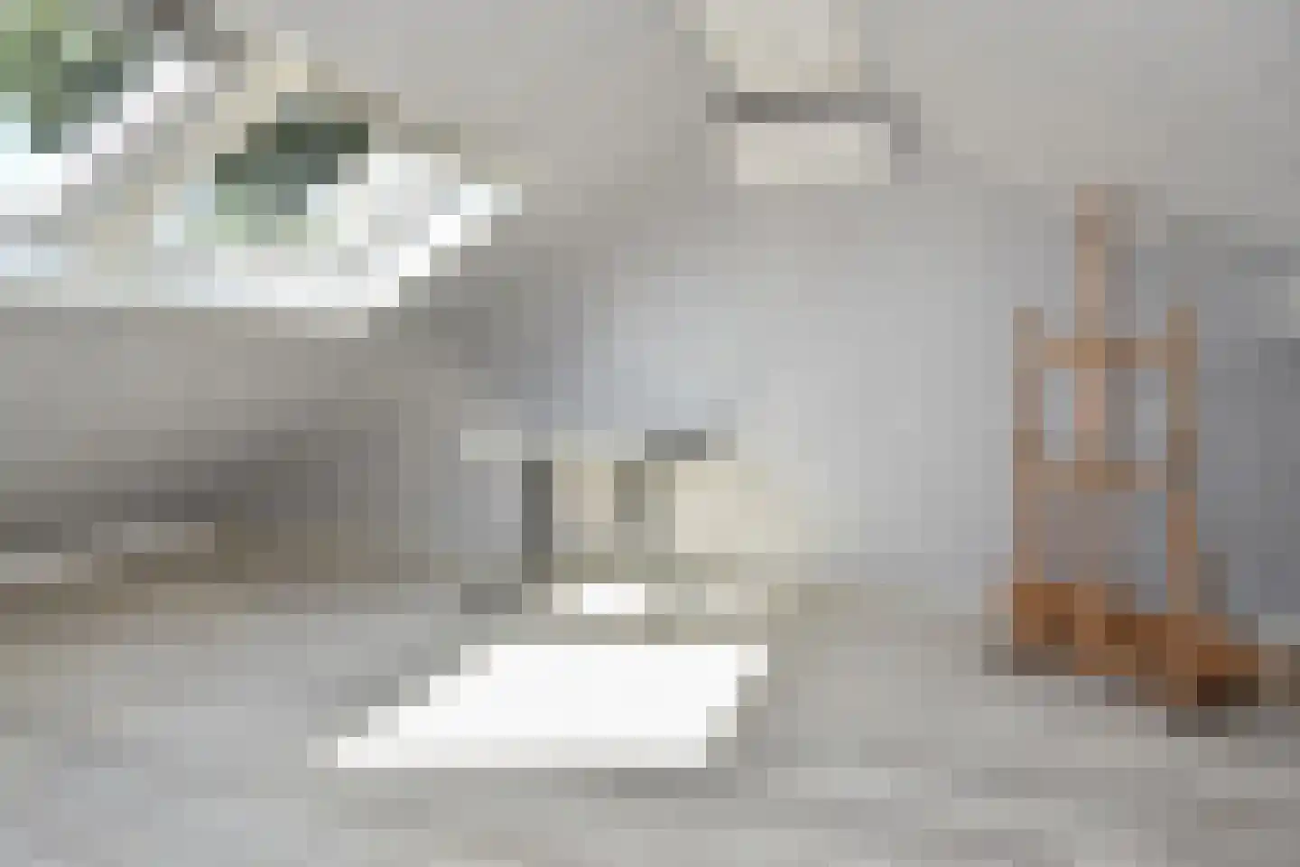Populierendreef 556 Voorburg thumbnail 33