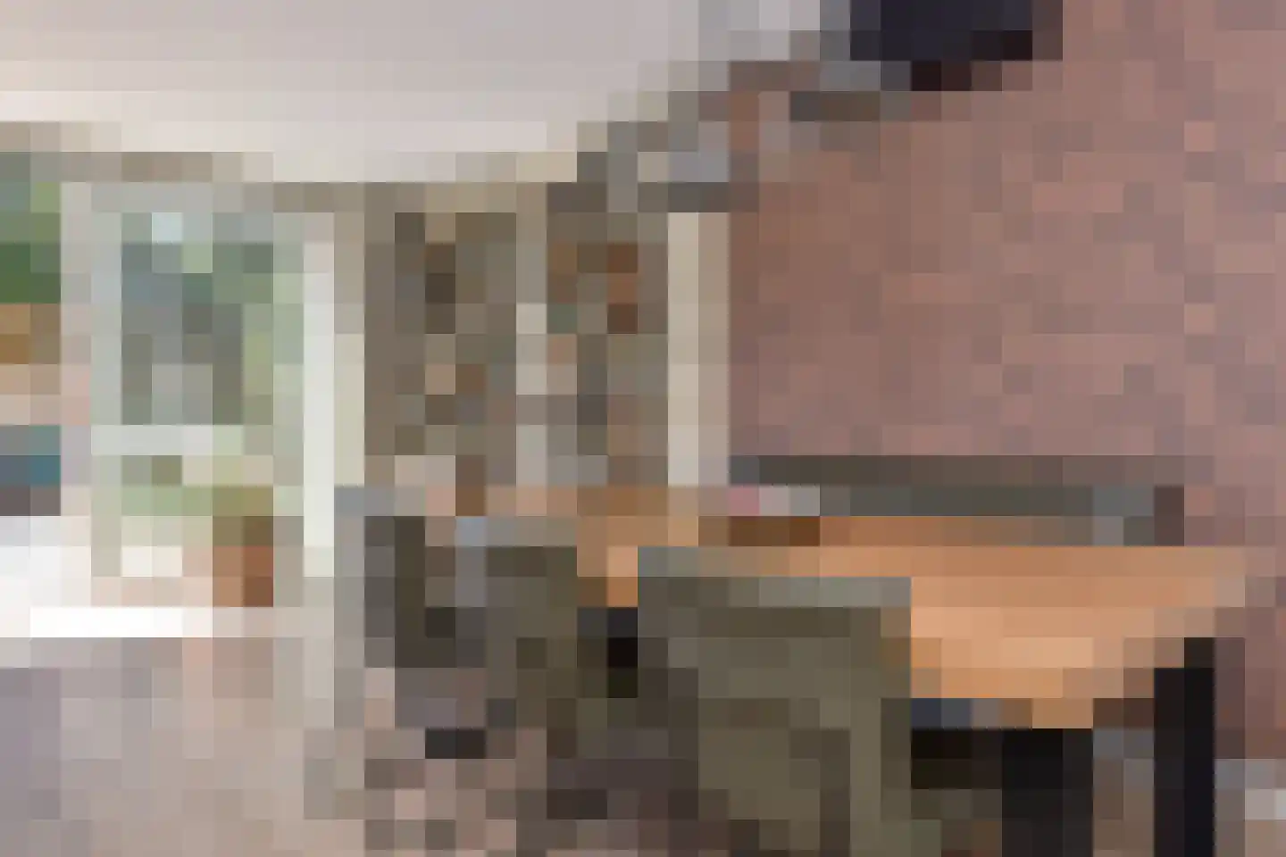 Populierendreef 556 Voorburg thumbnail 8