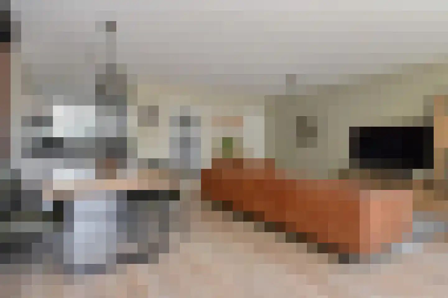 Populierendreef 556 Voorburg thumbnail 9