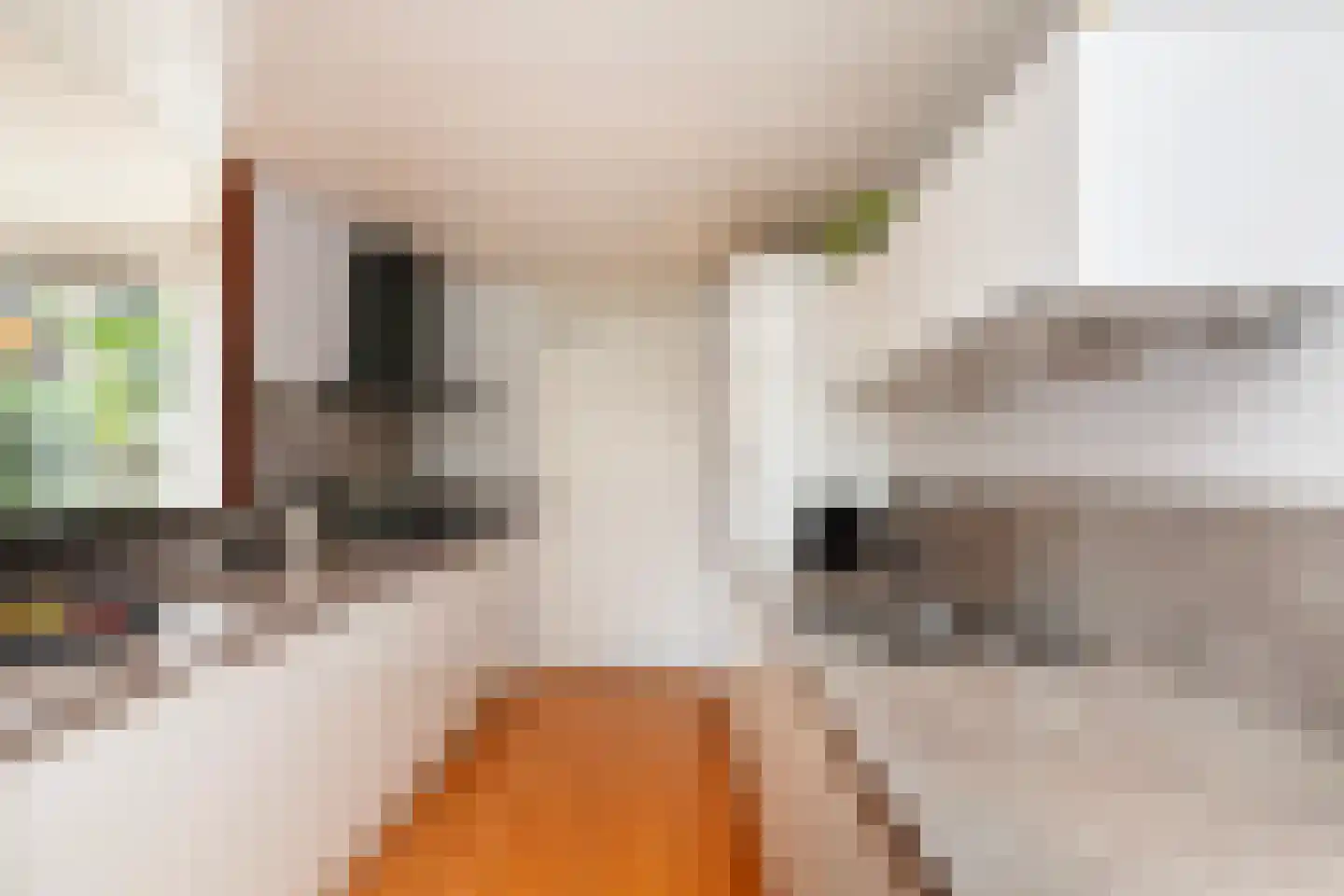 Populierendreef 63 Vlaardingen thumbnail 18