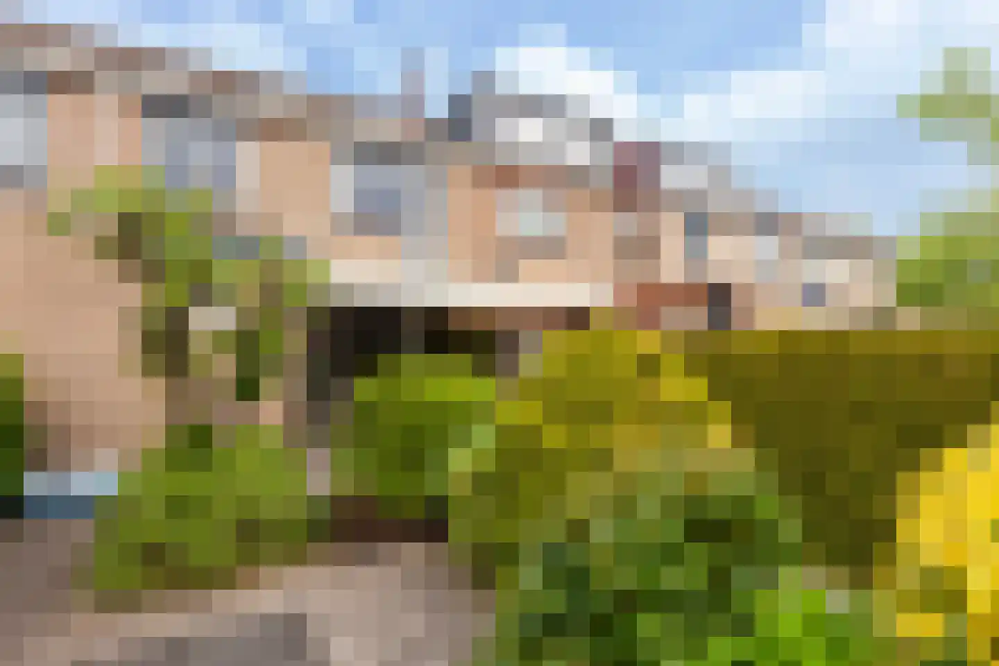 Populierendreef 63 Vlaardingen thumbnail 24