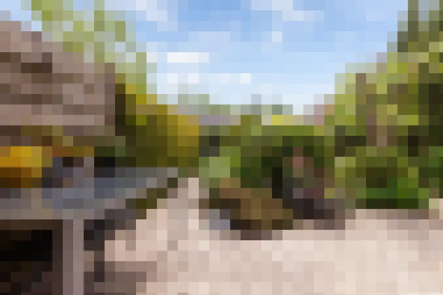 Populierendreef 63 Vlaardingen thumbnail 4