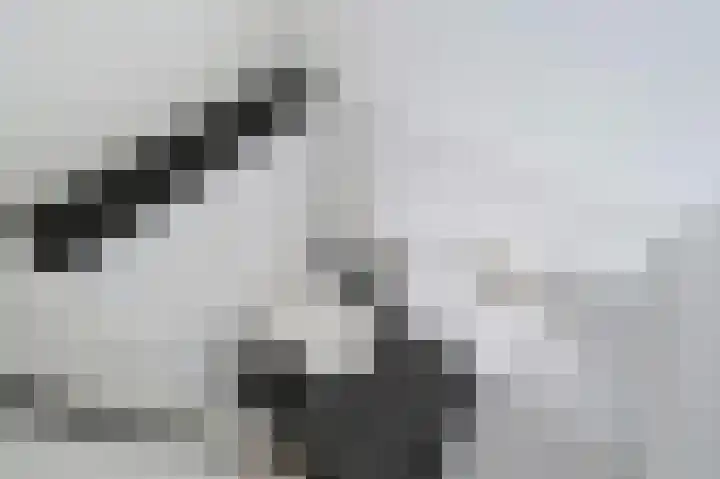 Populierendreef 65 Voorburg thumbnail 17