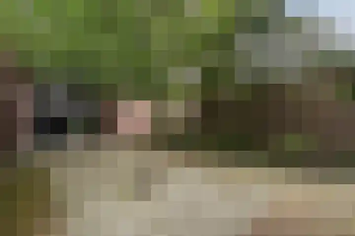 Populierendreef 65 Voorburg thumbnail 20