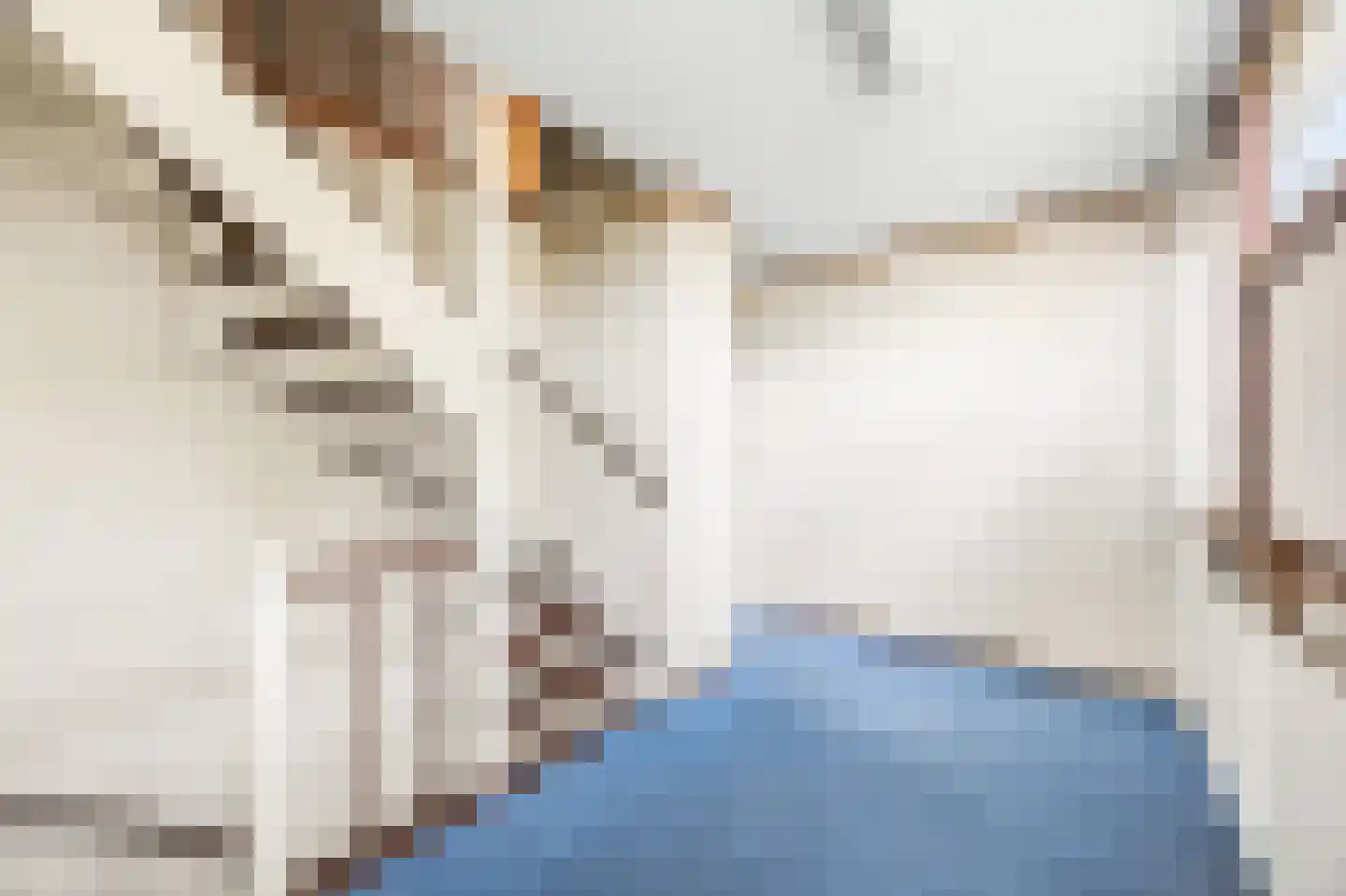 Populierendreef 672 Voorburg thumbnail 14