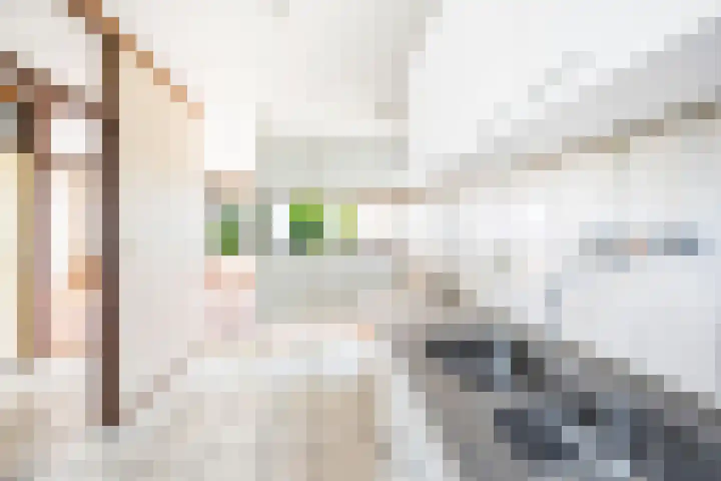 Populierendreef 672 Voorburg thumbnail 9