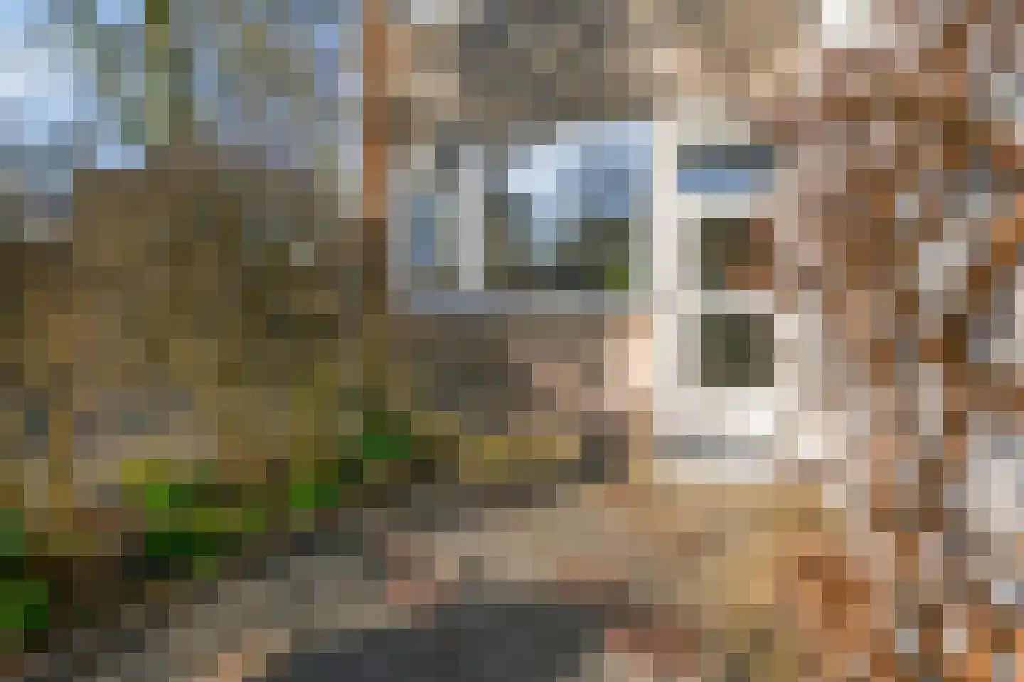 Populierendreef 716 Voorburg thumbnail 9