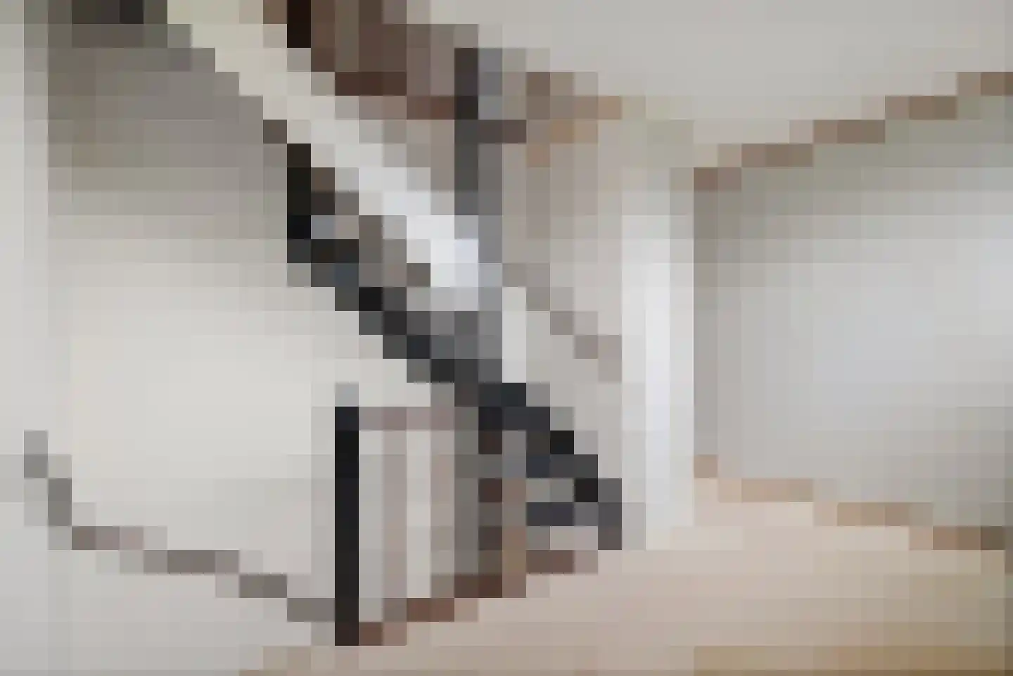 Populierendreef 740 Voorburg thumbnail 29
