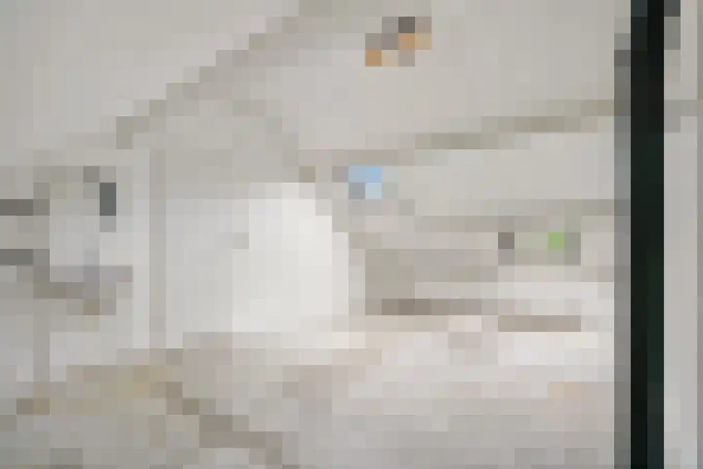 Populierendreef 740 Voorburg thumbnail 33