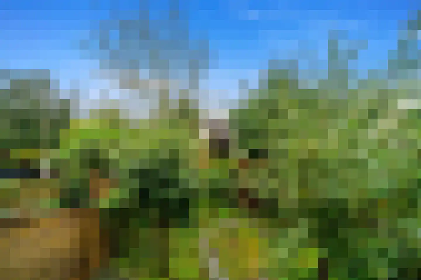 Populierendreef 740 Voorburg thumbnail 35
