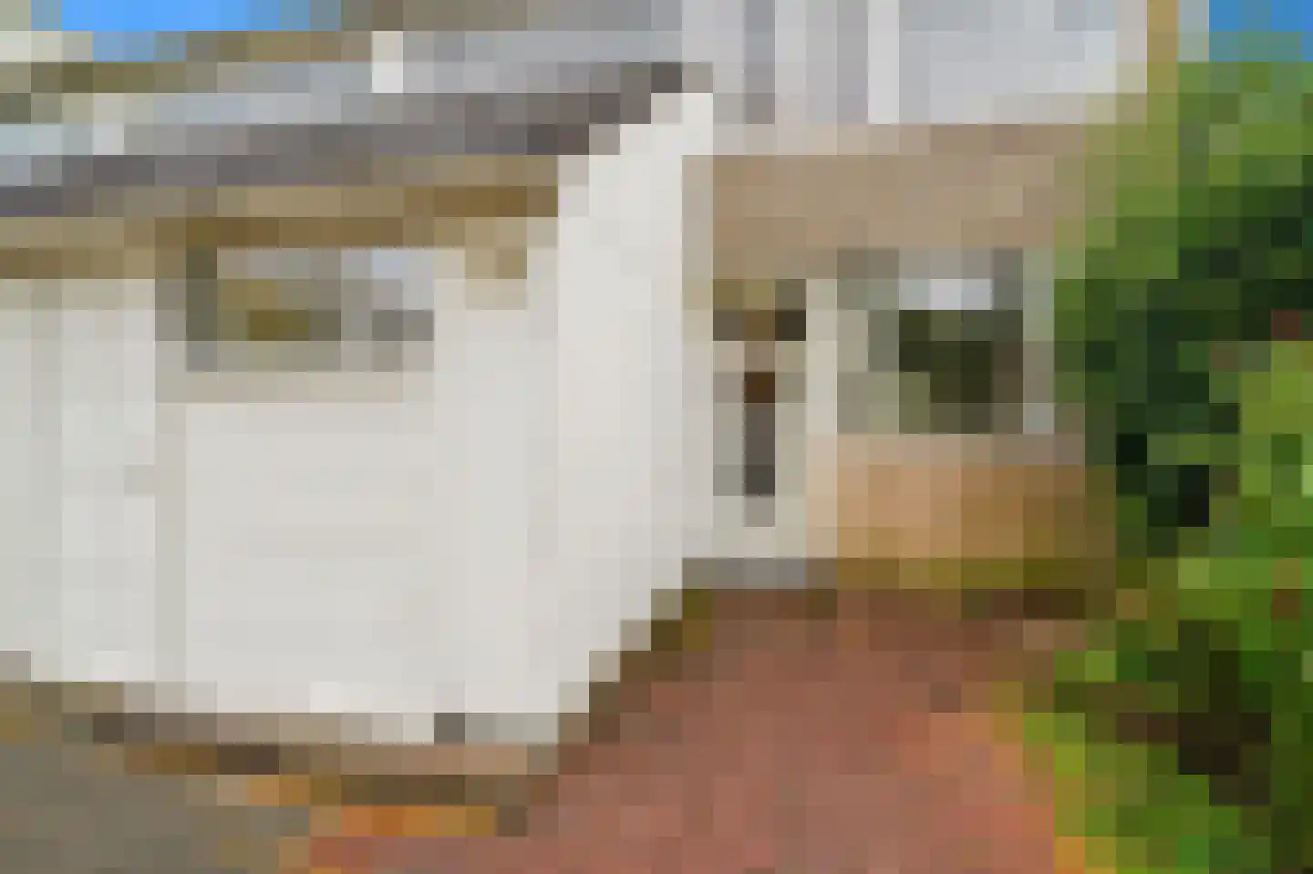 Populierendreef 740 Voorburg thumbnail 37