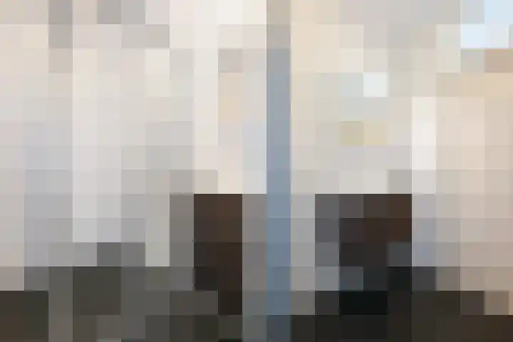 Populierendreef 75 Voorburg thumbnail 19