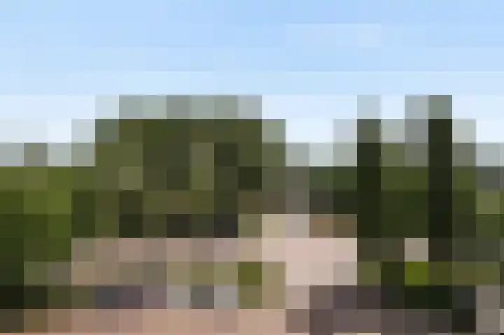 Populierendreef 75 Voorburg thumbnail 8