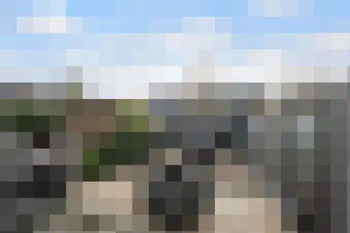 Populierendreef 81 Vlaardingen thumbnail 16
