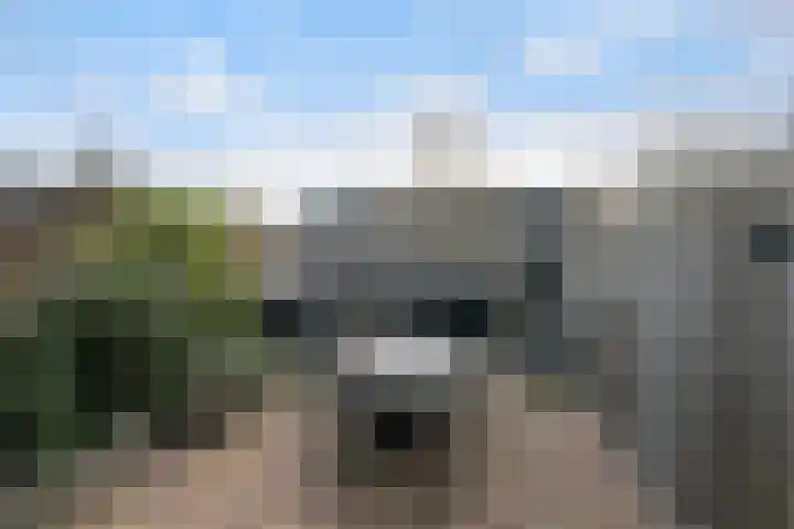Populierendreef 81 Vlaardingen thumbnail 17