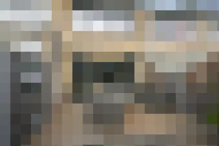 Populierendreef 81 Vlaardingen thumbnail 18