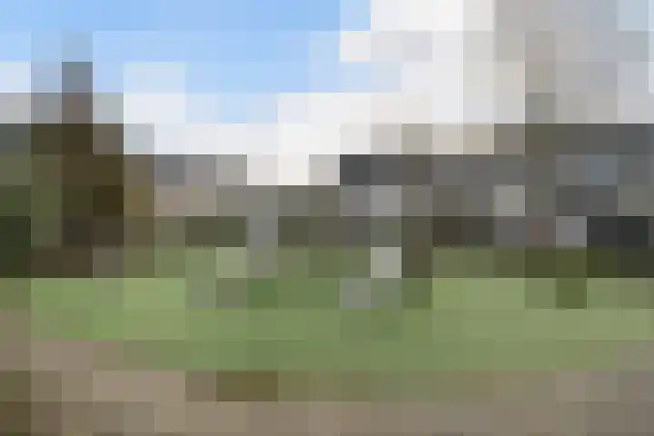 Populierendreef 81 Vlaardingen thumbnail 6