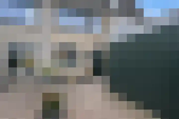 Populierendreef 81 Vlaardingen thumbnail 8