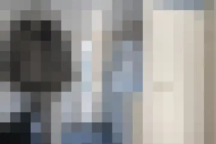 Populierendreef 81 Vlaardingen thumbnail 9