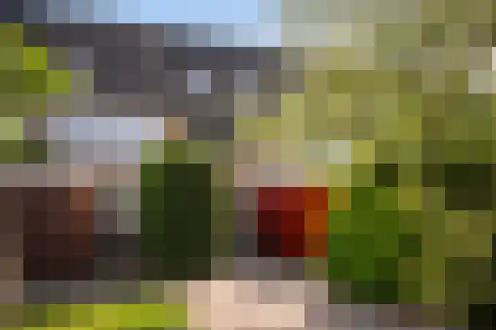 Populierendreef 89 in Vlaardingen