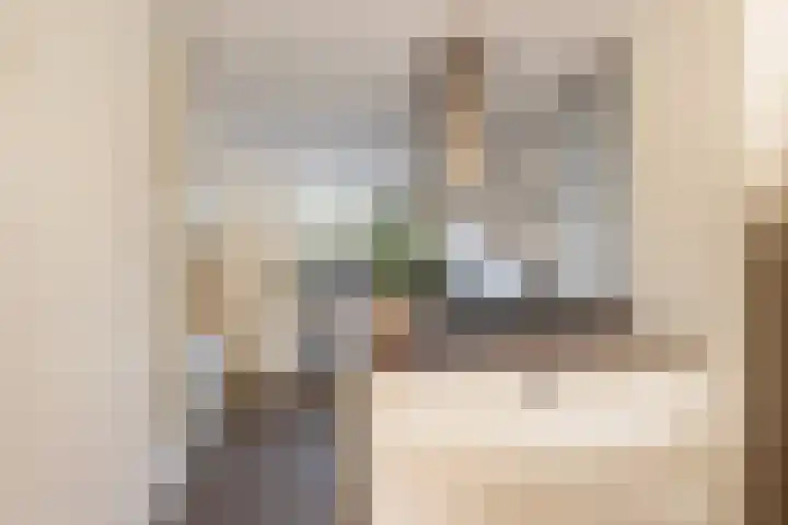 Populierendreef 89 Vlaardingen thumbnail 10
