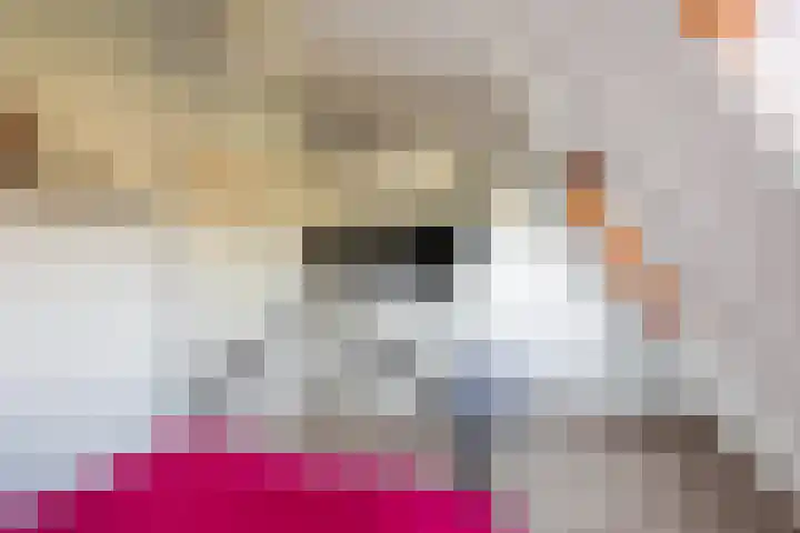 Populierendreef 89 Vlaardingen thumbnail 31
