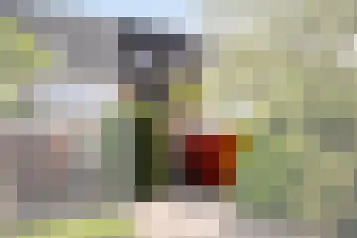 Populierendreef 89 Vlaardingen thumbnail 32